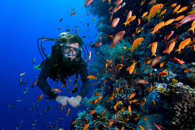 Wisata Bahari Indonesia
