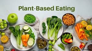 plant-based diet